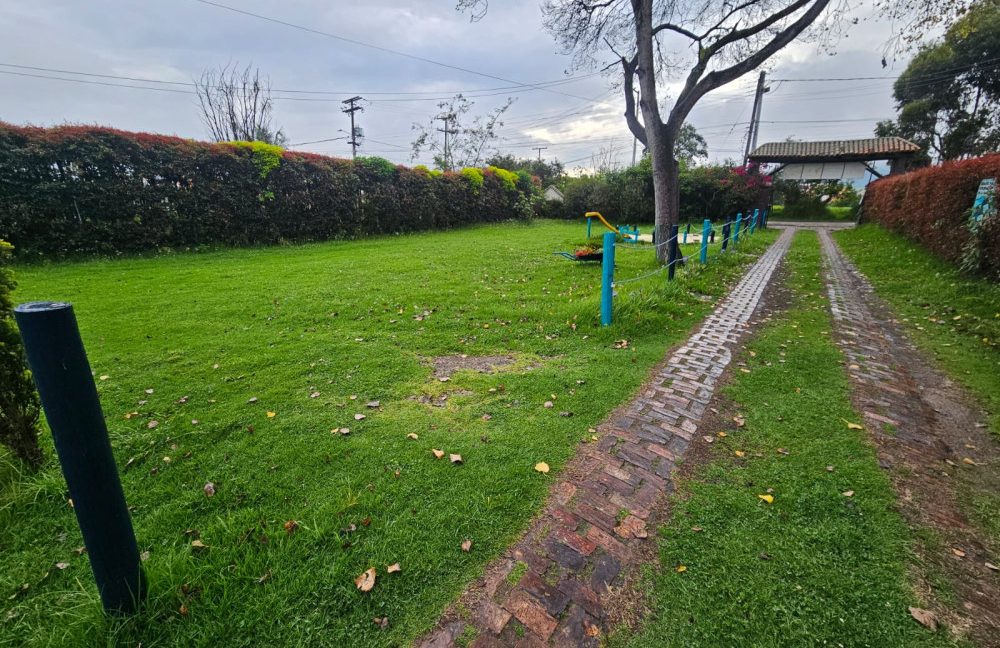 Lote San Carlos (15)