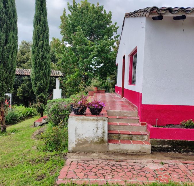 Casa 1 Adriana Daza (21)