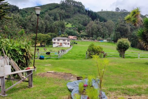 Casa 1 Adriana Daza (24)