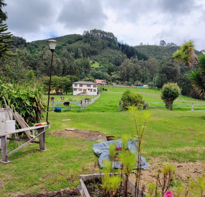 Casa 1 Adriana Daza (24)