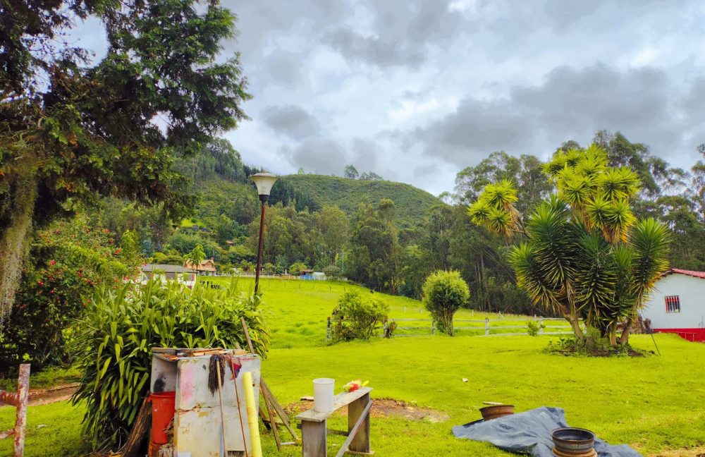 Casa 1 Adriana Daza (3)