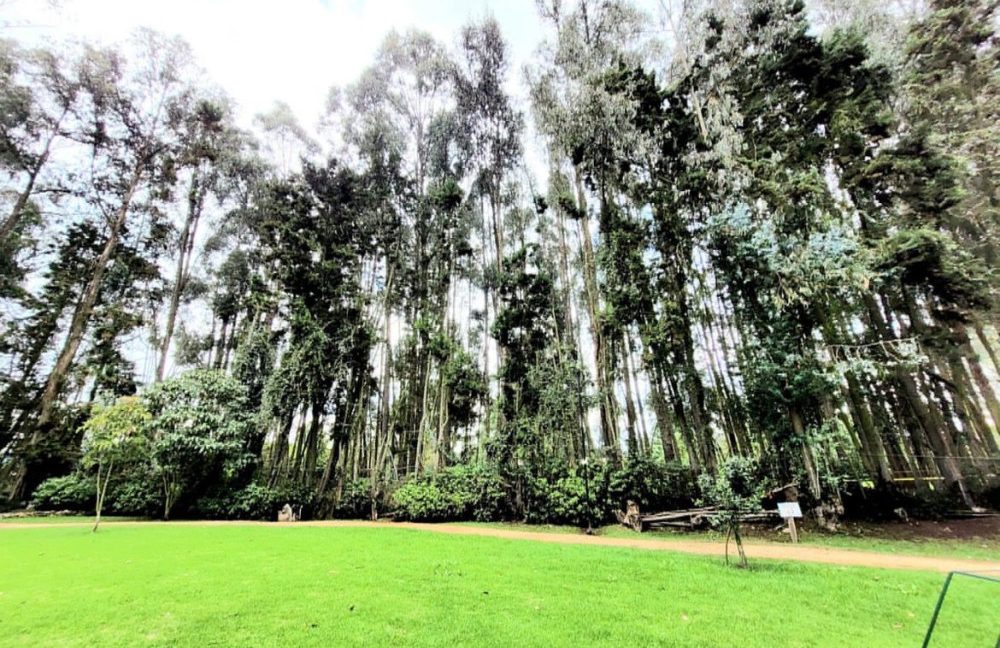 Casa 6 conjunto el Tejar Chia (3)