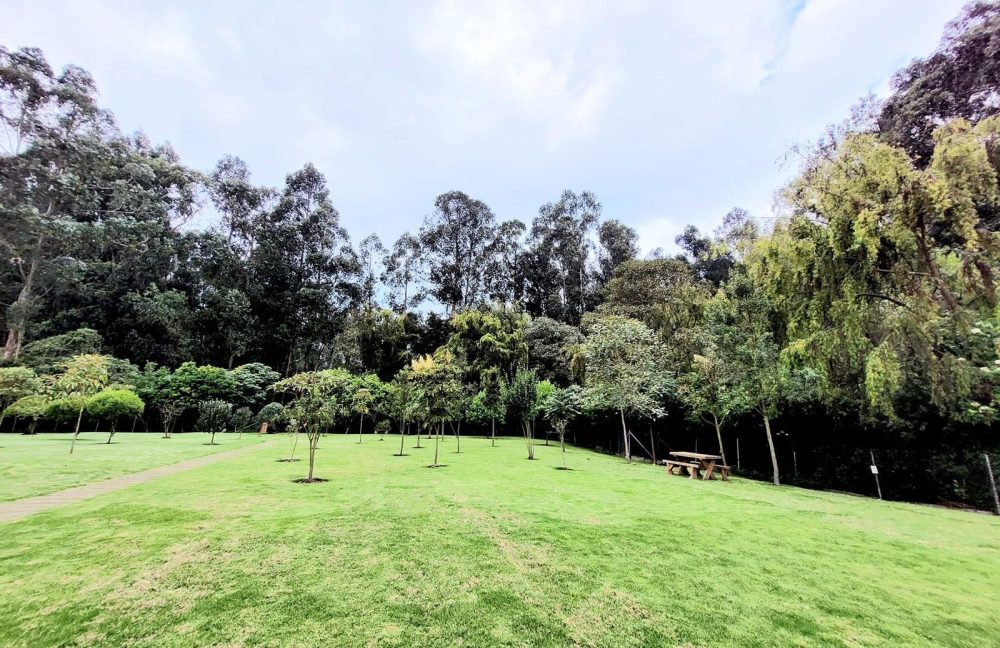 Casa 6 conjunto el Tejar Chia (4)