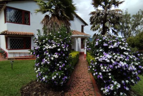 Finca Adriana Daza (14)