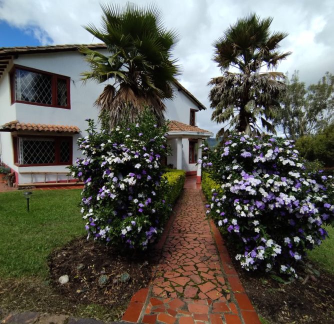 Finca Adriana Daza (14)