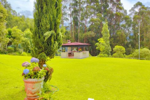 Finca Adriana Daza (19)