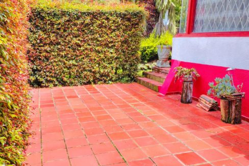 Finca Adriana Daza (25)