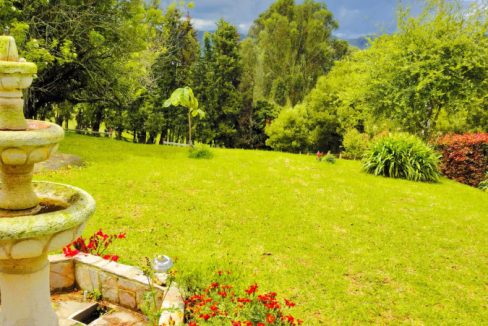 Finca Adriana Daza (26)