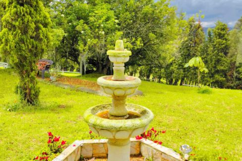 Finca Adriana Daza (27)