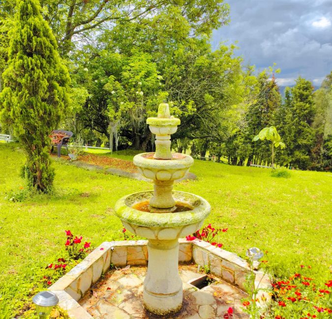 Finca Adriana Daza (27)