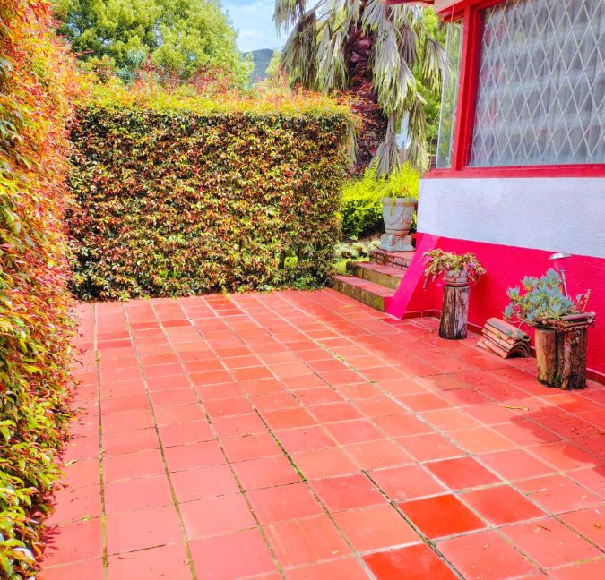 Finca Adriana Daza (28)