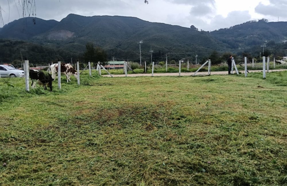 Lote la perla- Tabio (2)