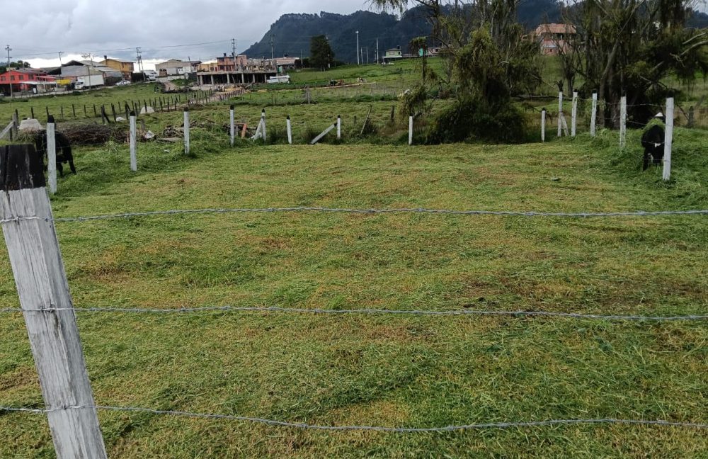 Lote la perla- Tabio (3)