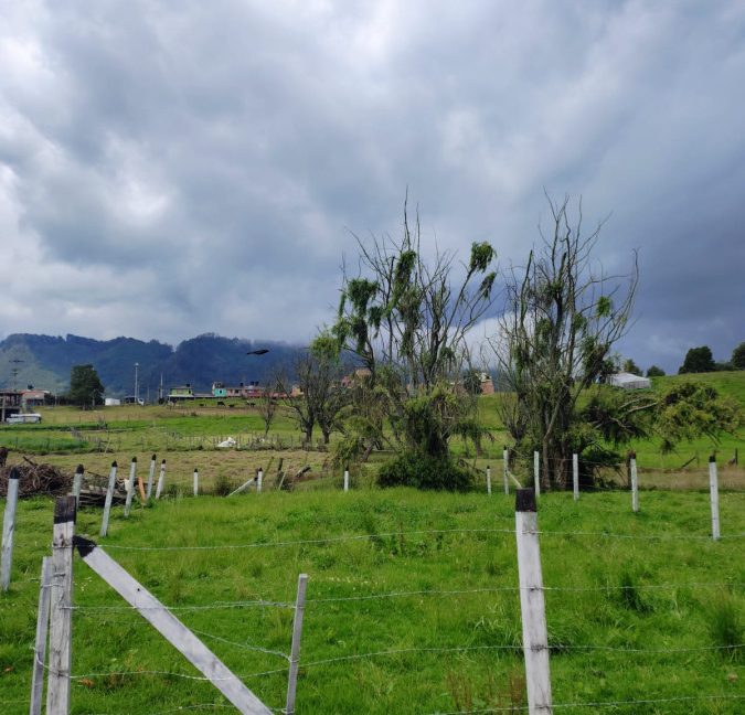 Lote la perla- Tabio (4)