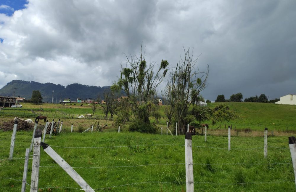 Lote la perla- Tabio (5)
