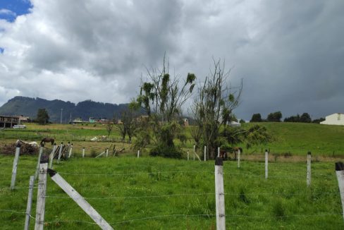 Lote la perla- Tabio (5)