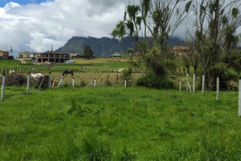 Lote la perla- Tabio (6)