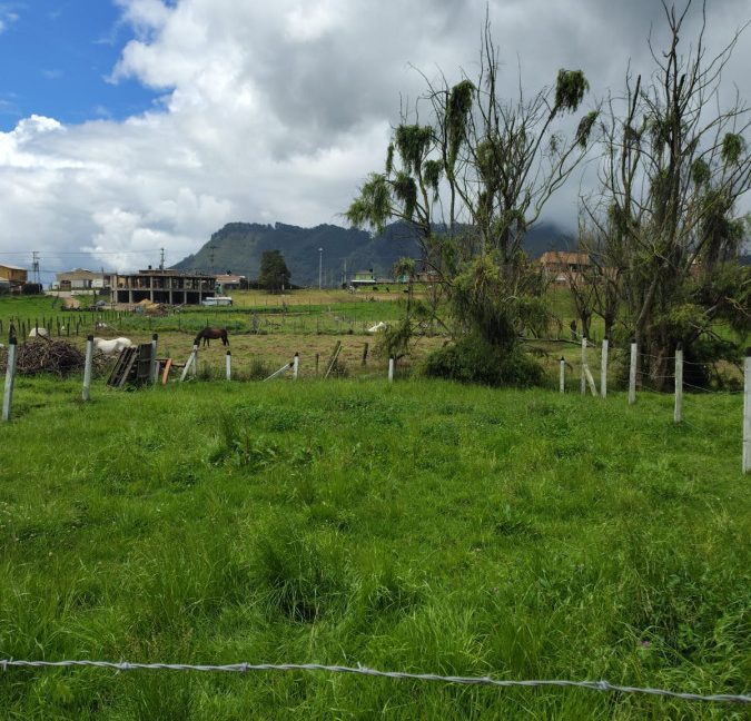 Lote la perla- Tabio (6)