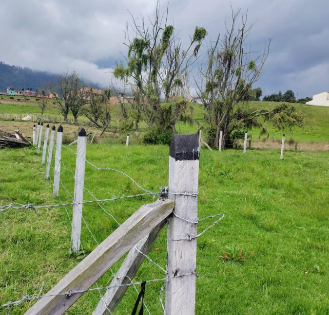 Lote la perla- Tabio (7)