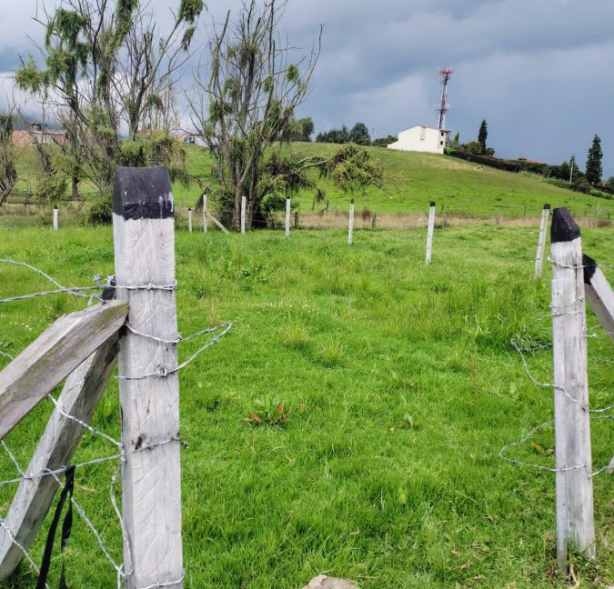 Lote la perla- Tabio (8)