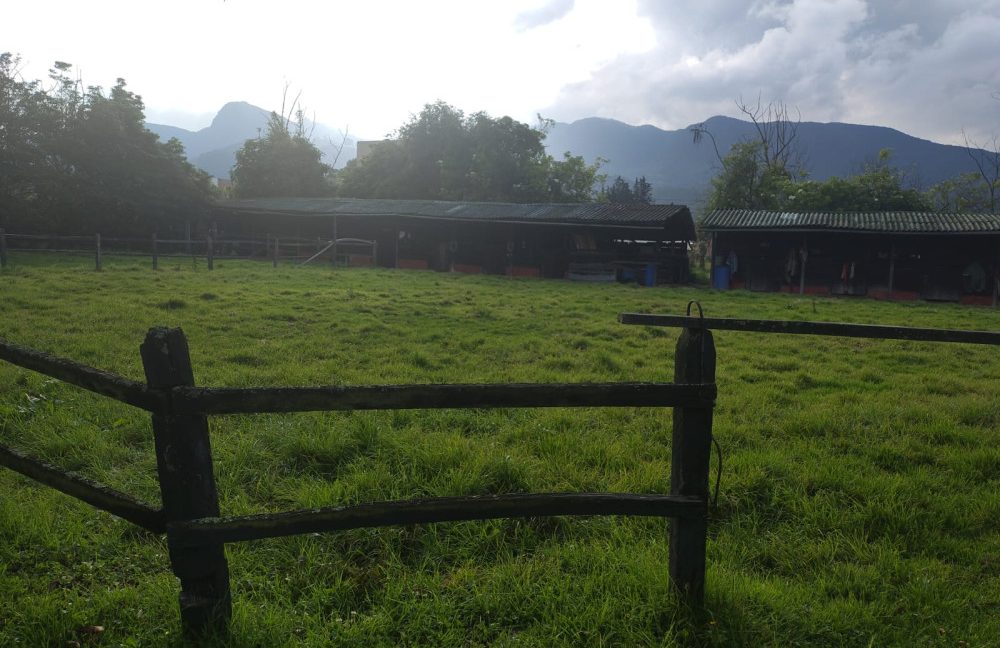 3 casas - Tabio (39)