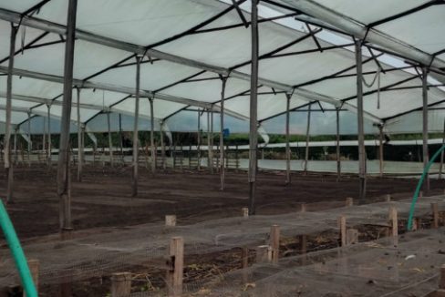 Tenjo - finca (11)