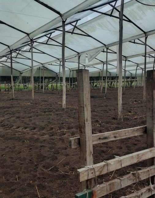 Tenjo - finca (17)