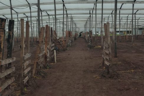 Tenjo - finca (21)