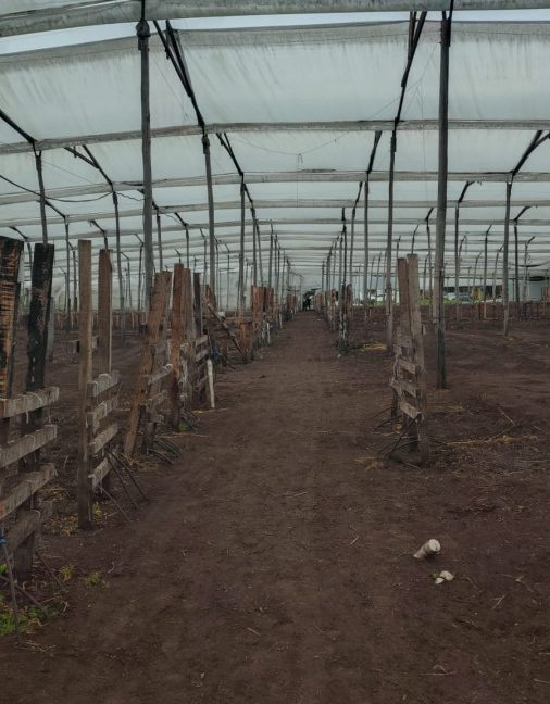 Tenjo - finca (21)