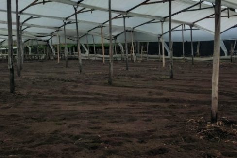 Tenjo - finca (22)