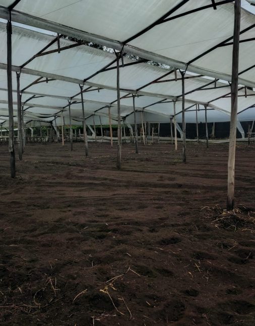 Tenjo - finca (22)