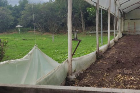 Tenjo - finca (23)
