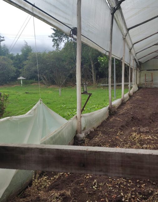 Tenjo - finca (23)