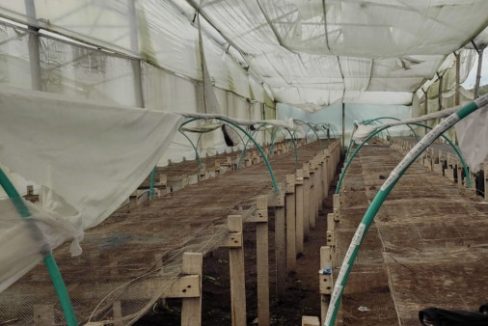 Tenjo - finca (25)