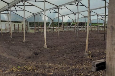 Tenjo - finca (4)