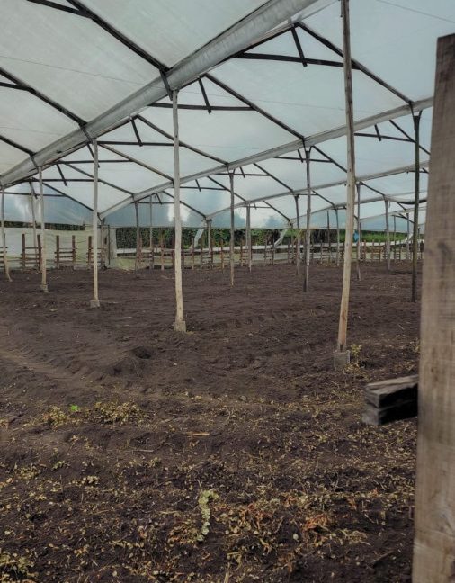 Tenjo - finca (4)