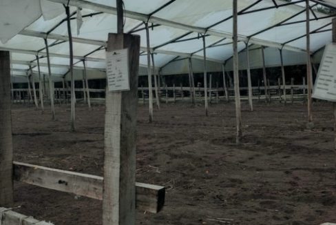 Tenjo - finca (6)