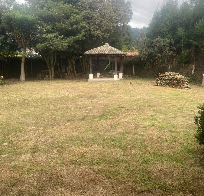 C-CA-PESEBRE (23)