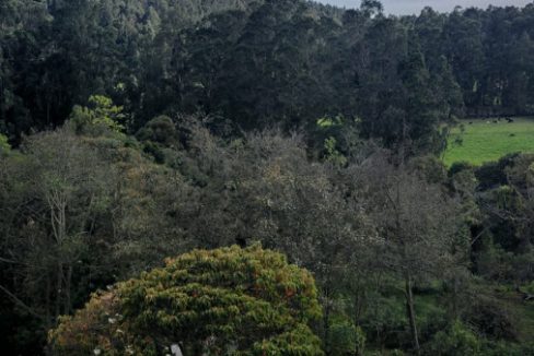 C-CA-CASA ARTEMISA TABIO (13)