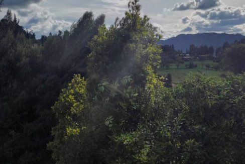 C-CA-CASA ARTEMISA TABIO (14)