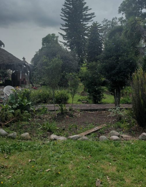 C-CA-CASA SICILIA TABIO (10)